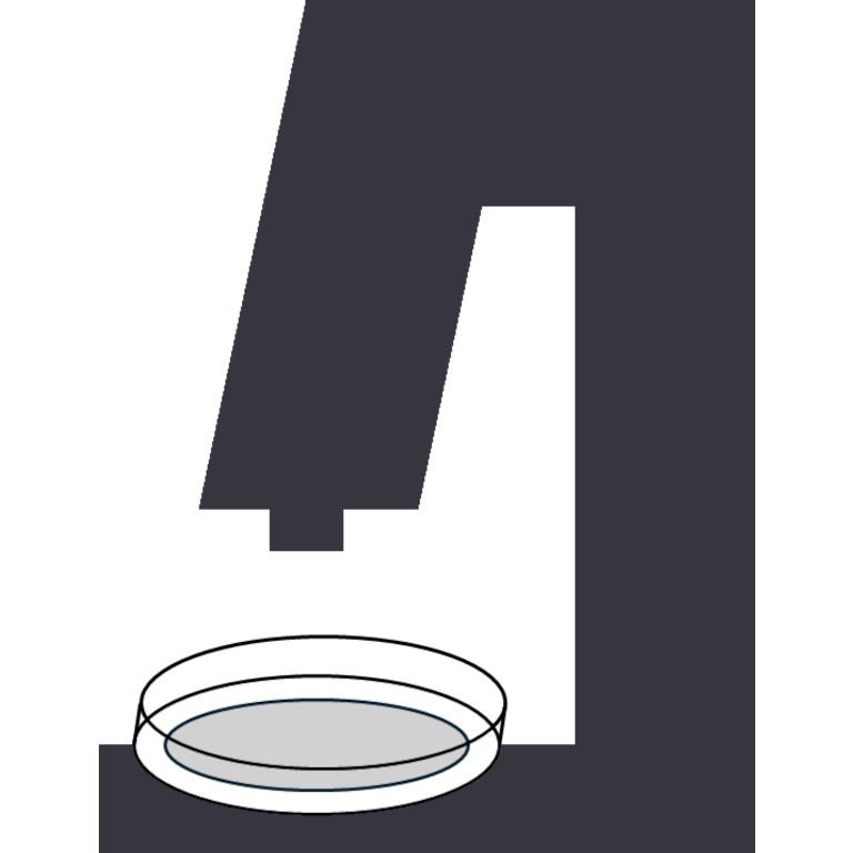 Ein Icon einer Petrischale mit Analysefilter, welche in einem Mikroskops zur TecSa-Prüfung eingelegt ist.